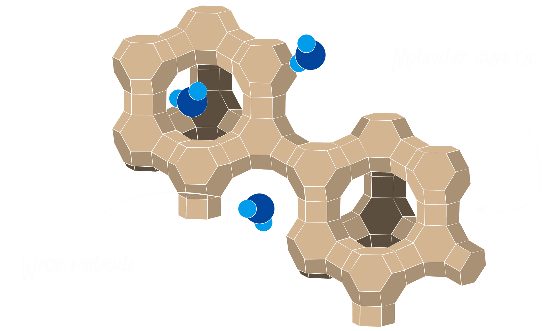 Grafik: Wassermoleküle lagern sich in Käfigstruktur von Molekularsieb an