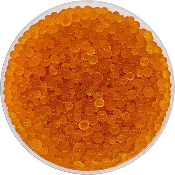 Silicagel Trockenperlen in einer Petrischale