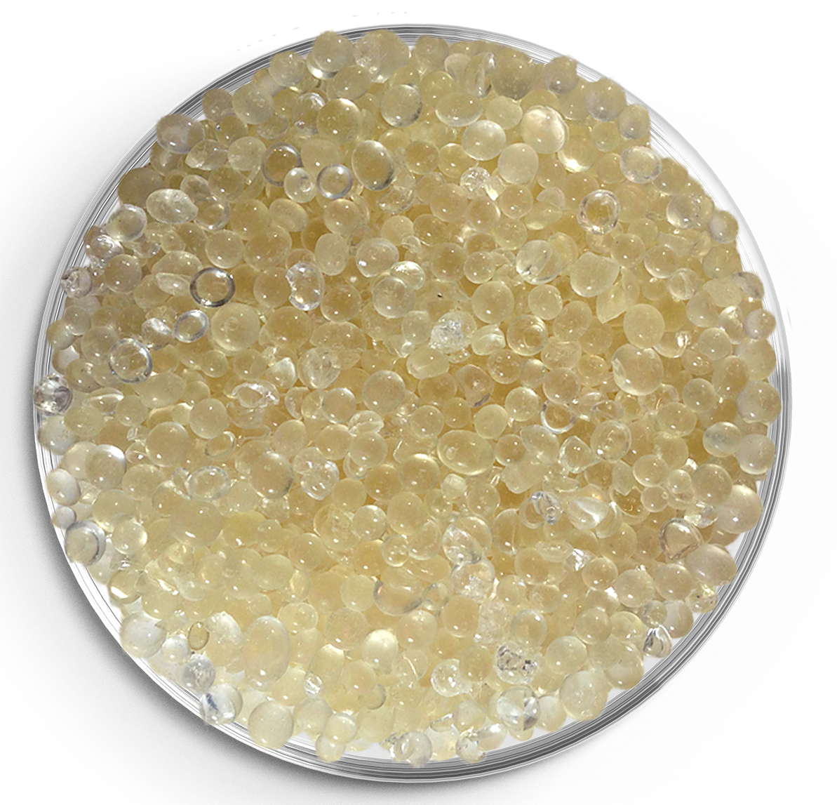 Gelbliche Silicagel Trockenperlen in Petrischale