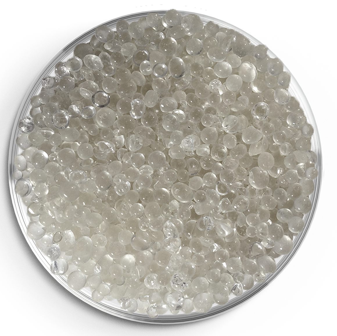 Weiße Silicagel Trockenperlen in Petrischale