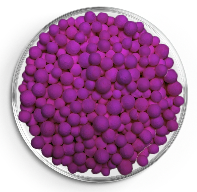 Poresphere Aktiv-AL K8 purple granules in petri dish