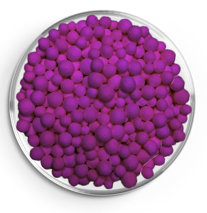 Poresphere Aktiv-AL K8 purple granules in petri dish