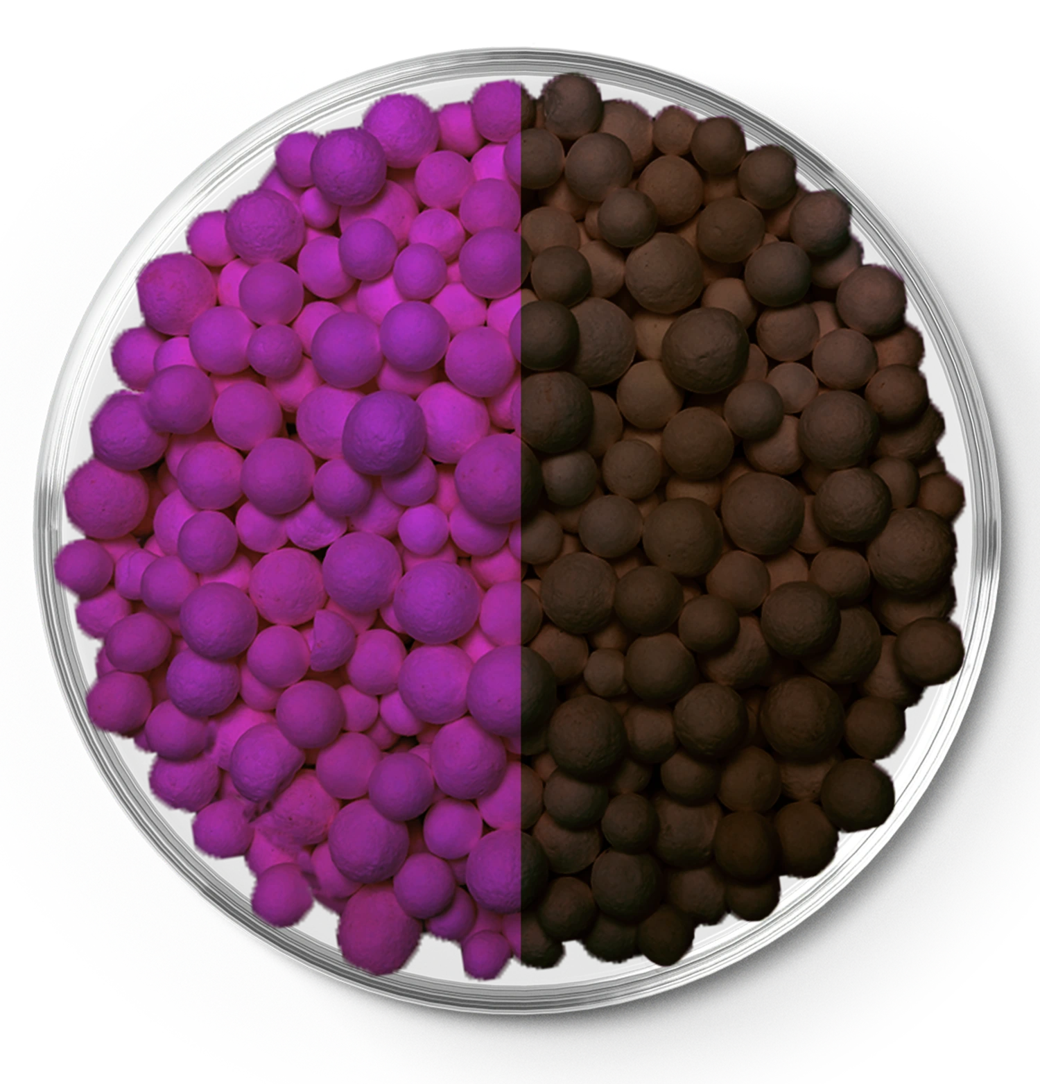 Poresphere Aktiv-AL K8 fresh purple and exhausted brown granules side by side in petri dish