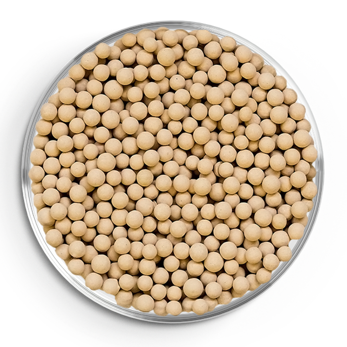 Zeolite molecular sieve beads in a Petri dish