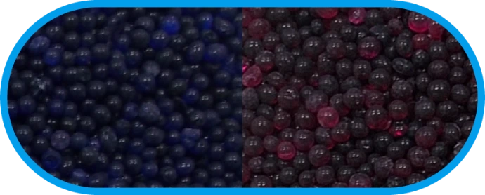 Oval Graphic – Left: Blue Silica gel beads. Right: Red