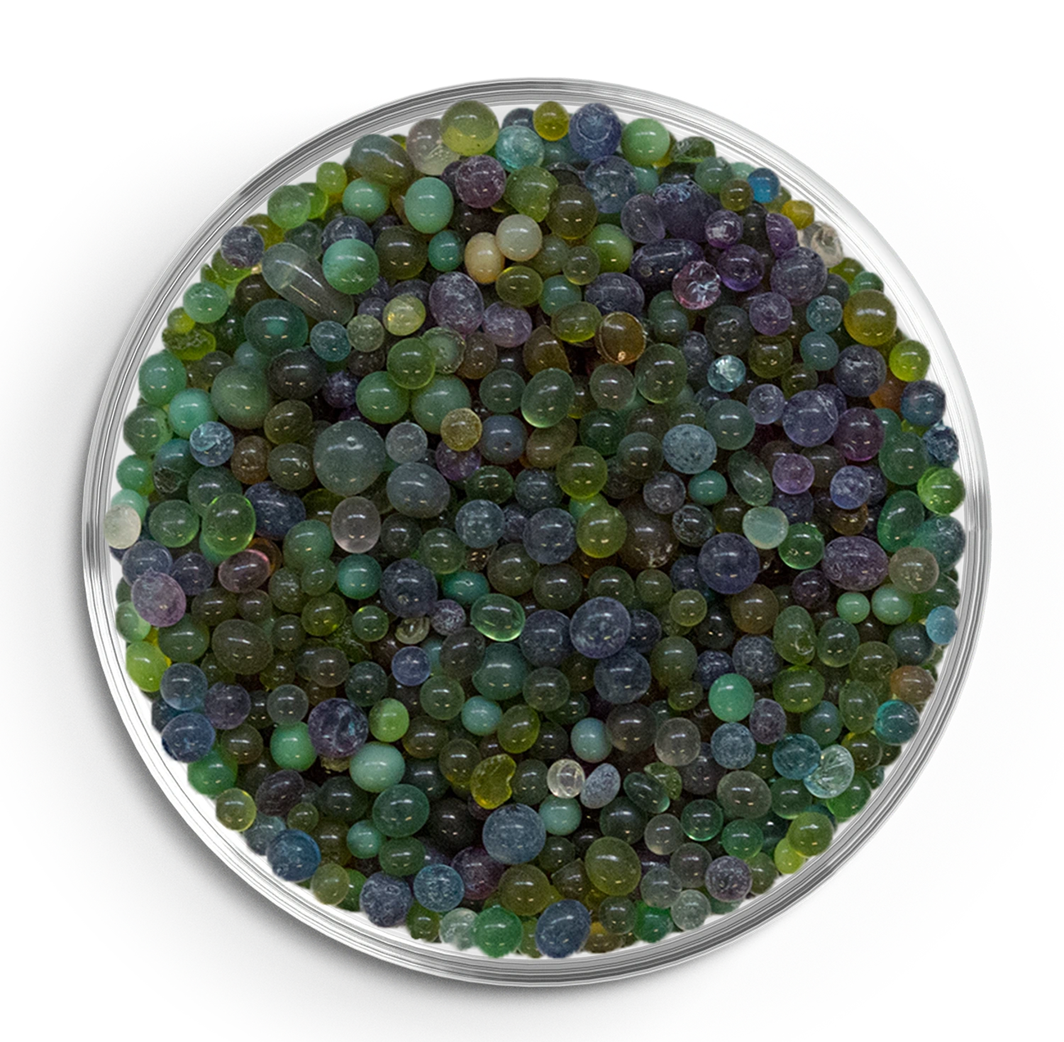 Green saturated silica gel in petri dish